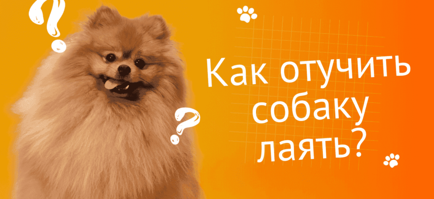 Как отучить собаку лаять как отучить собаку лаять